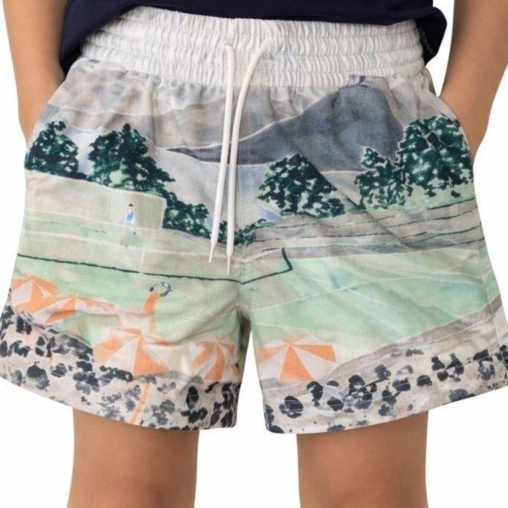 Abercrombie & Fitch Mesh Shorts XS Scenic Graphic Golf Resort Print Gym Core‎